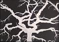 encre blanche_0013